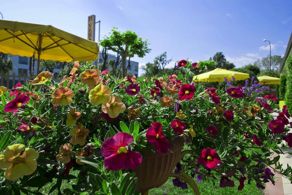 Hotel Versilia Lido di Camaiore Exteriér fotografie